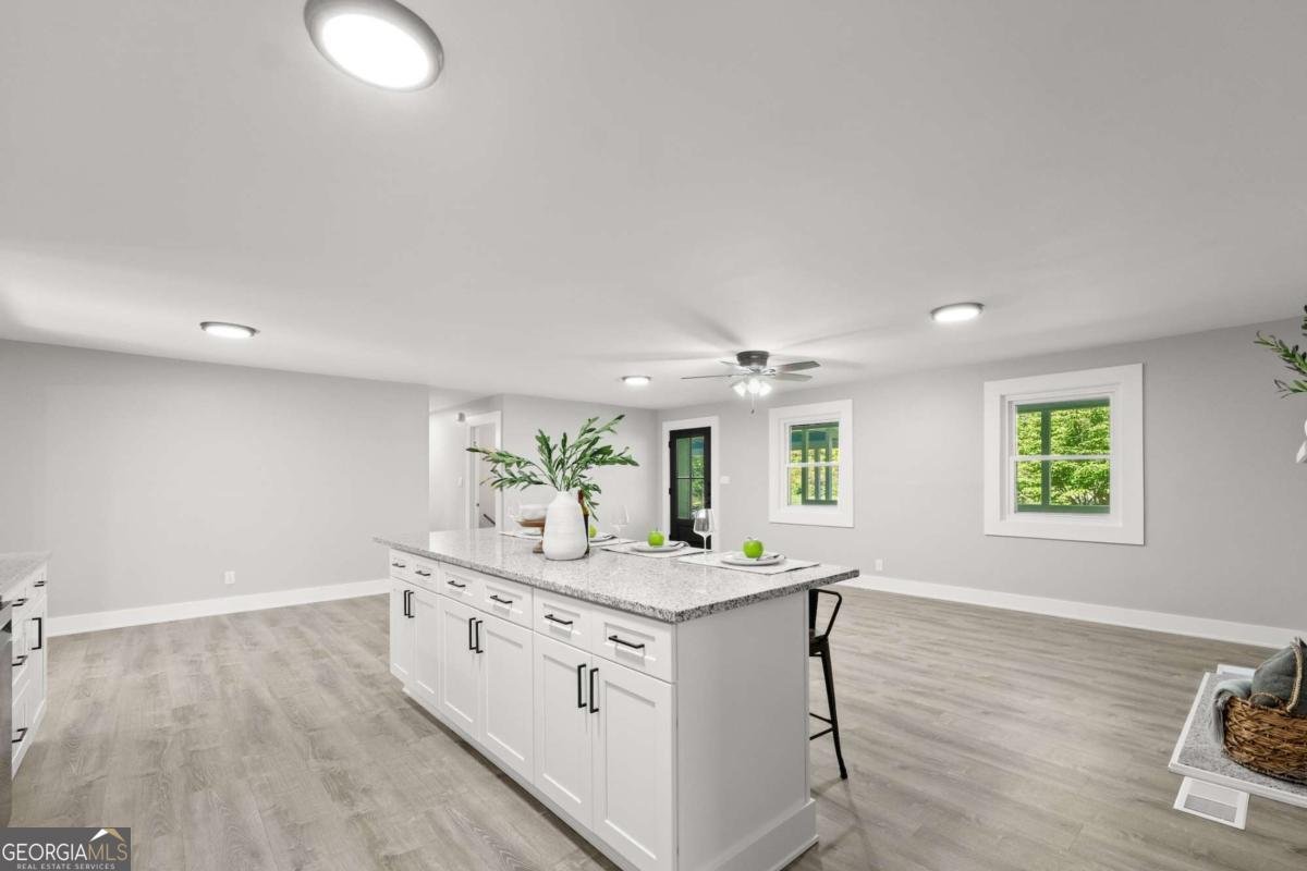 5198 Holly Springs Road Pendergrass - 19
