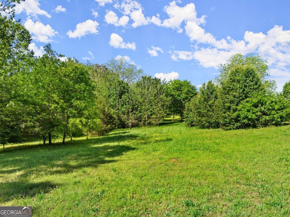 5198 Holly Springs Road Pendergrass - 4