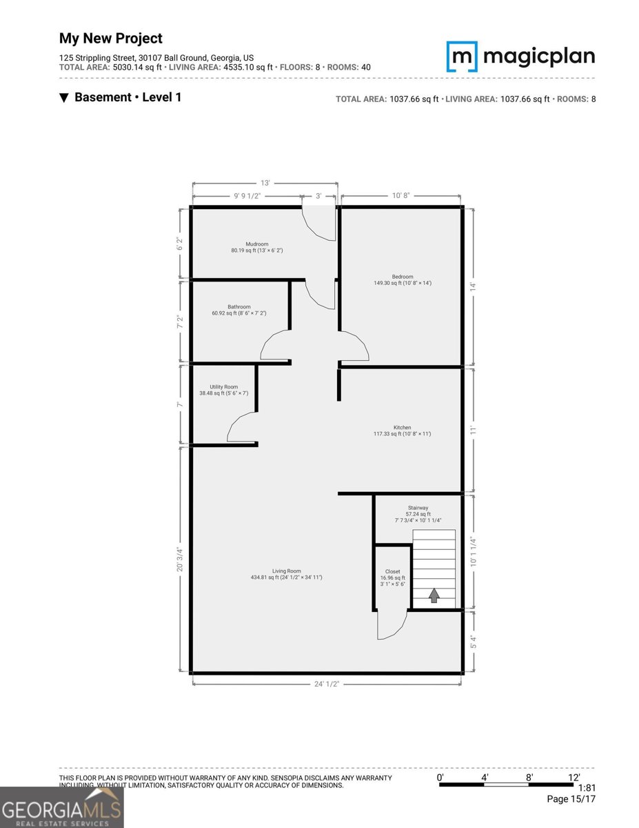 125 Stripling Street Ball Ground - 28