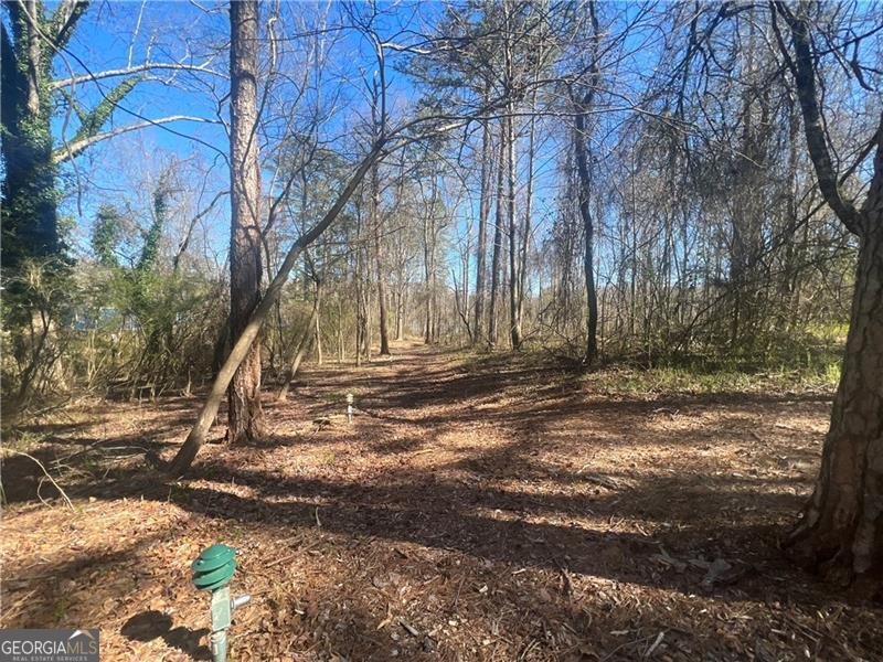 6620 Little Mill Road Gainesville - 11