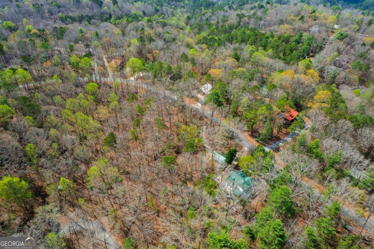 2037 Newport Drive Ellijay - 25