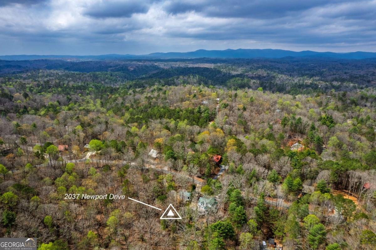 2037 Newport Drive Ellijay - 26