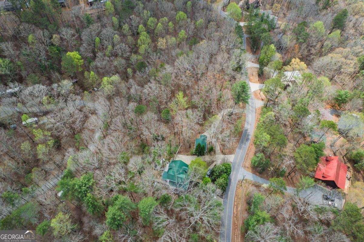 2037 Newport Drive Ellijay - 27