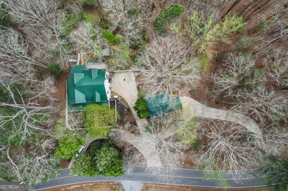 2037 Newport Drive Ellijay - 28