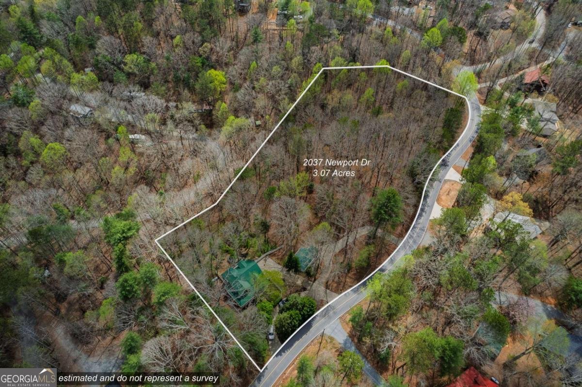 2037 Newport Drive Ellijay - 29