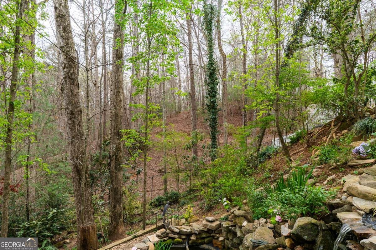 2037 Newport Drive Ellijay - 8