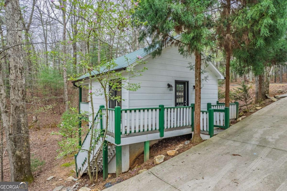 2037 Newport Drive Ellijay - 9
