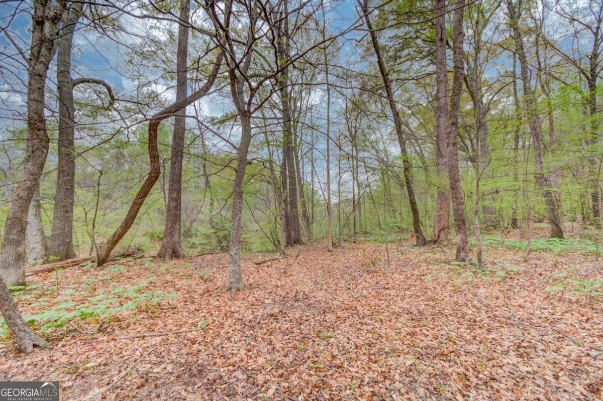 1343 Riverview Run Lane Suwanee - 52