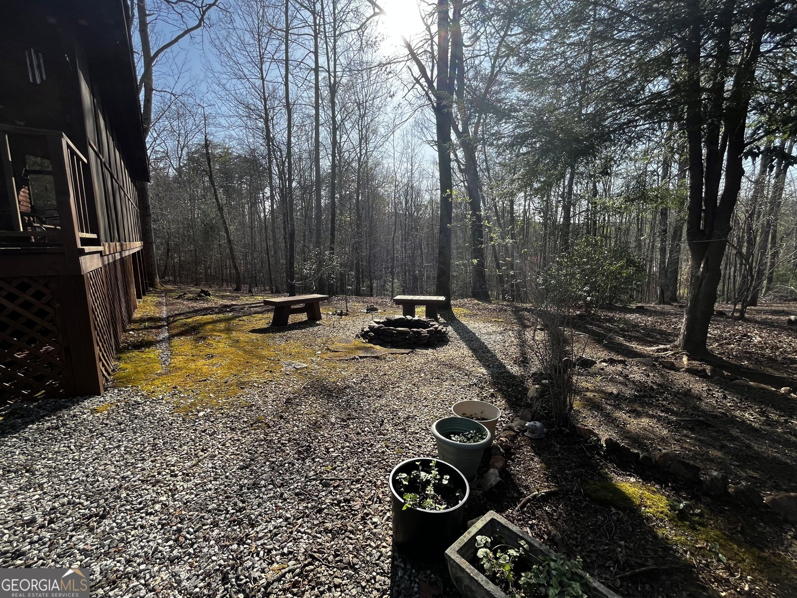 169 Wildhorse Cove Circle Cleveland - 16