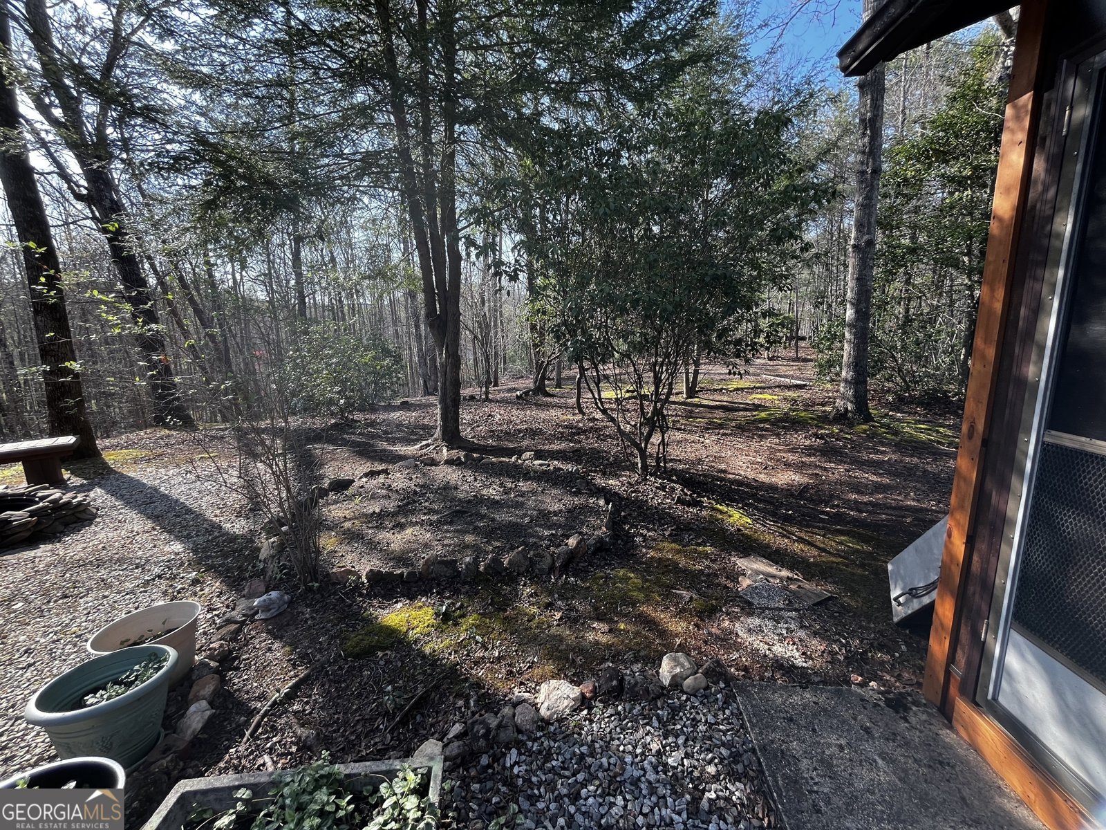 169 Wildhorse Cove Circle Cleveland - 17