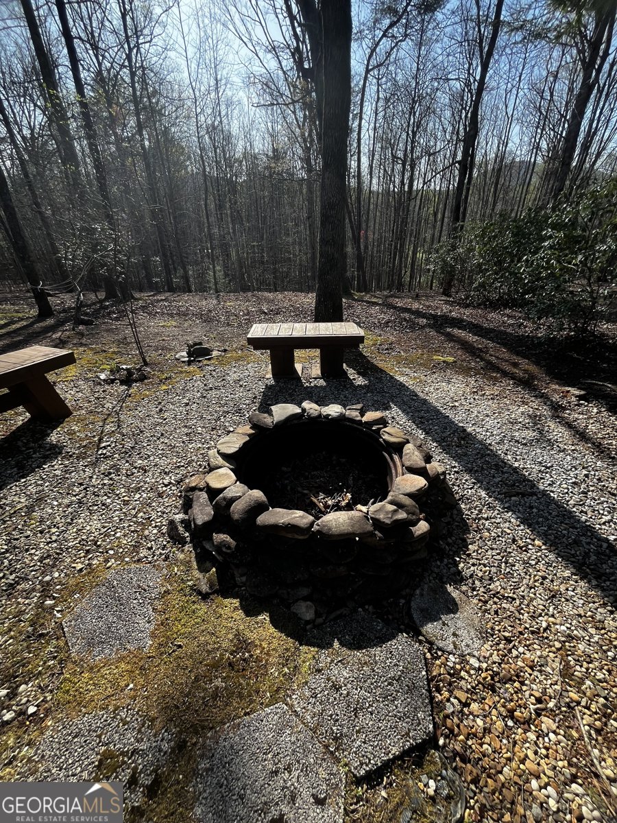 169 Wildhorse Cove Circle Cleveland - 22