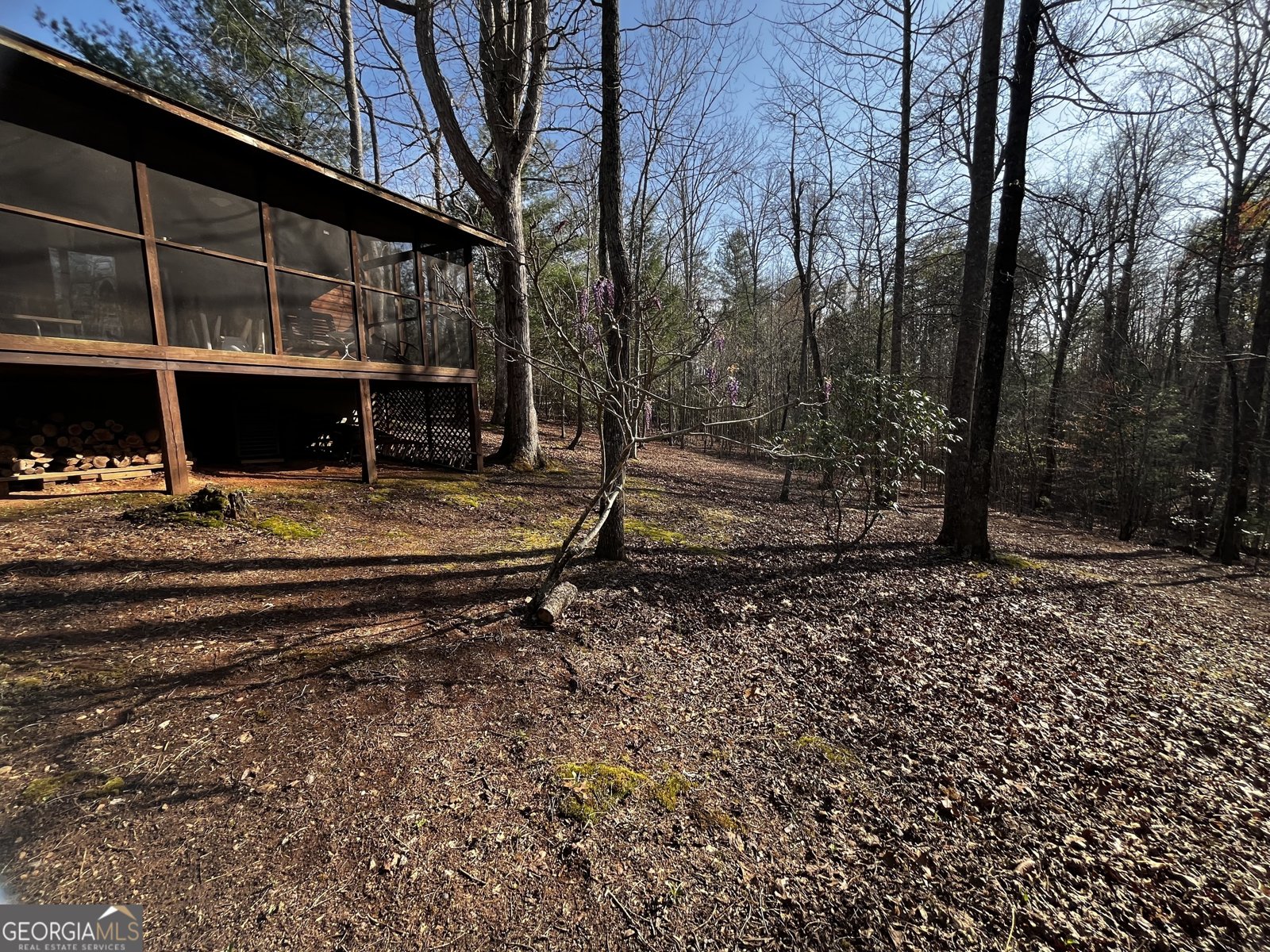 169 Wildhorse Cove Circle Cleveland - 24
