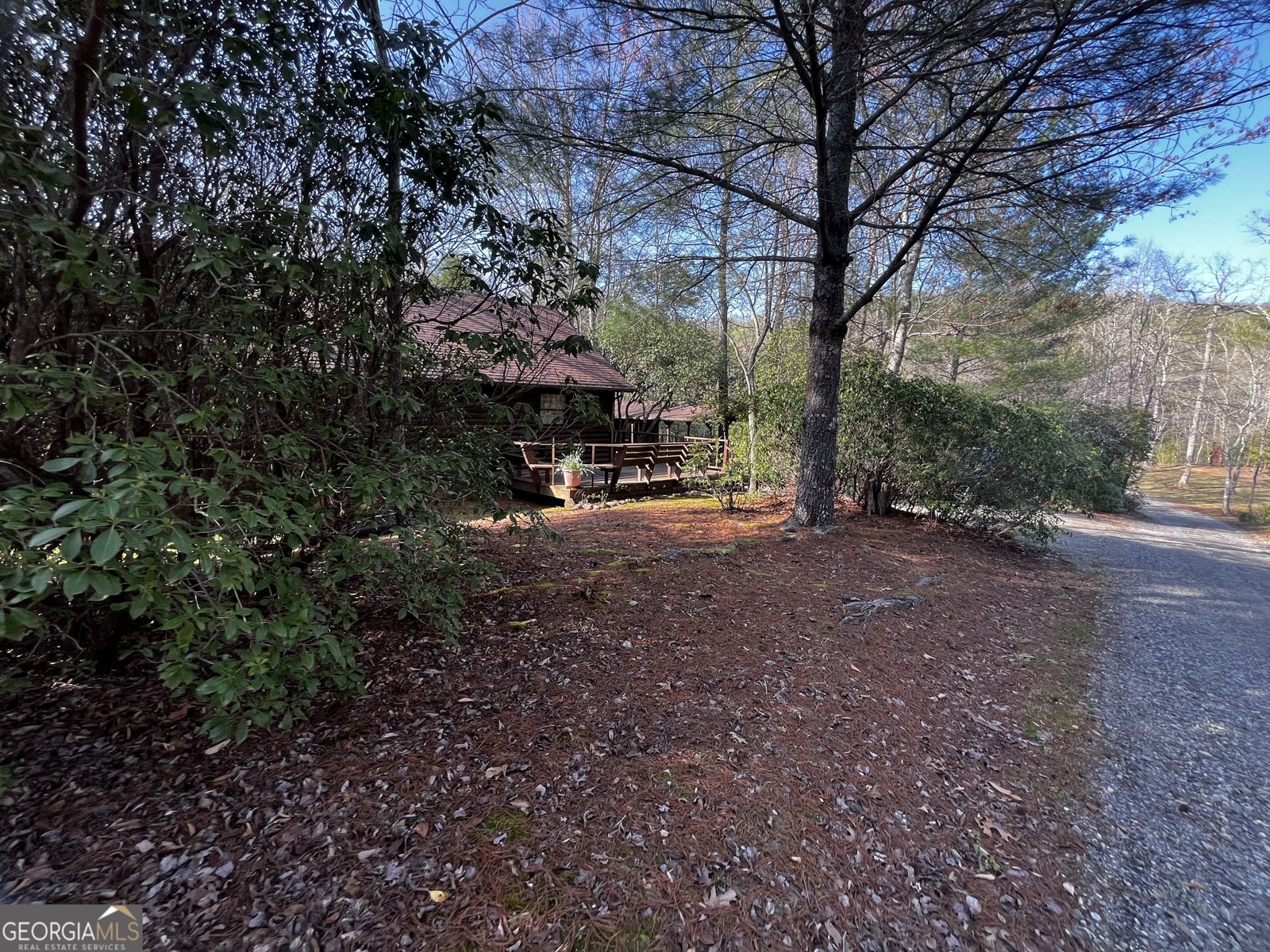 169 Wildhorse Cove Circle Cleveland - 27