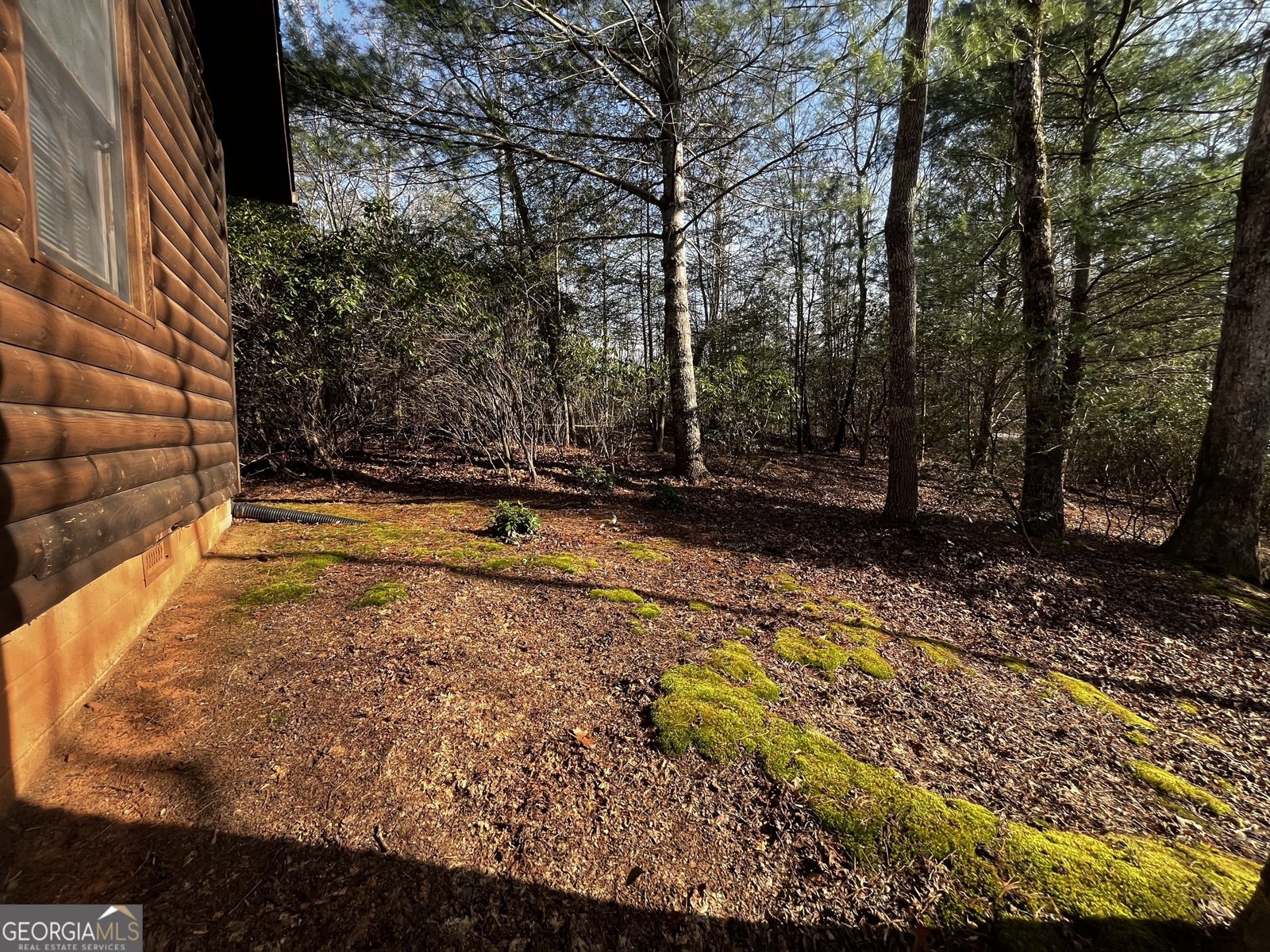 169 Wildhorse Cove Circle Cleveland - 29