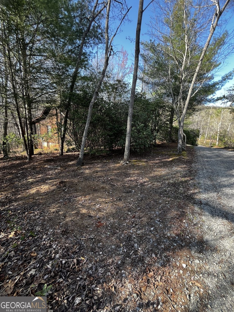 169 Wildhorse Cove Circle Cleveland - 30