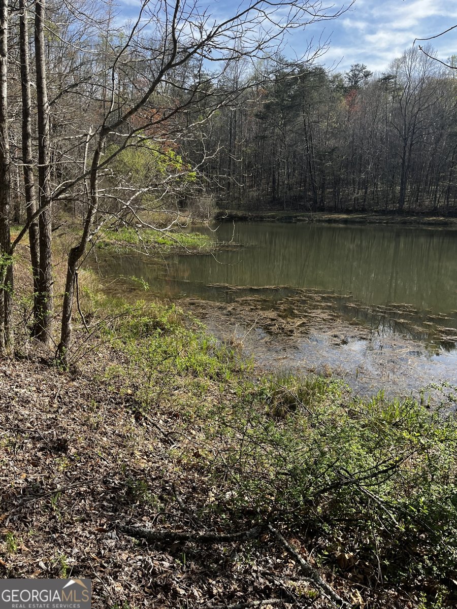 169 Wildhorse Cove Circle Cleveland - 6