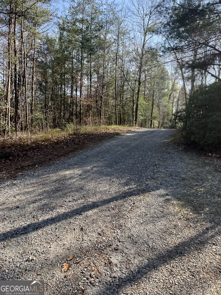 169 Wildhorse Cove Circle Cleveland - 9