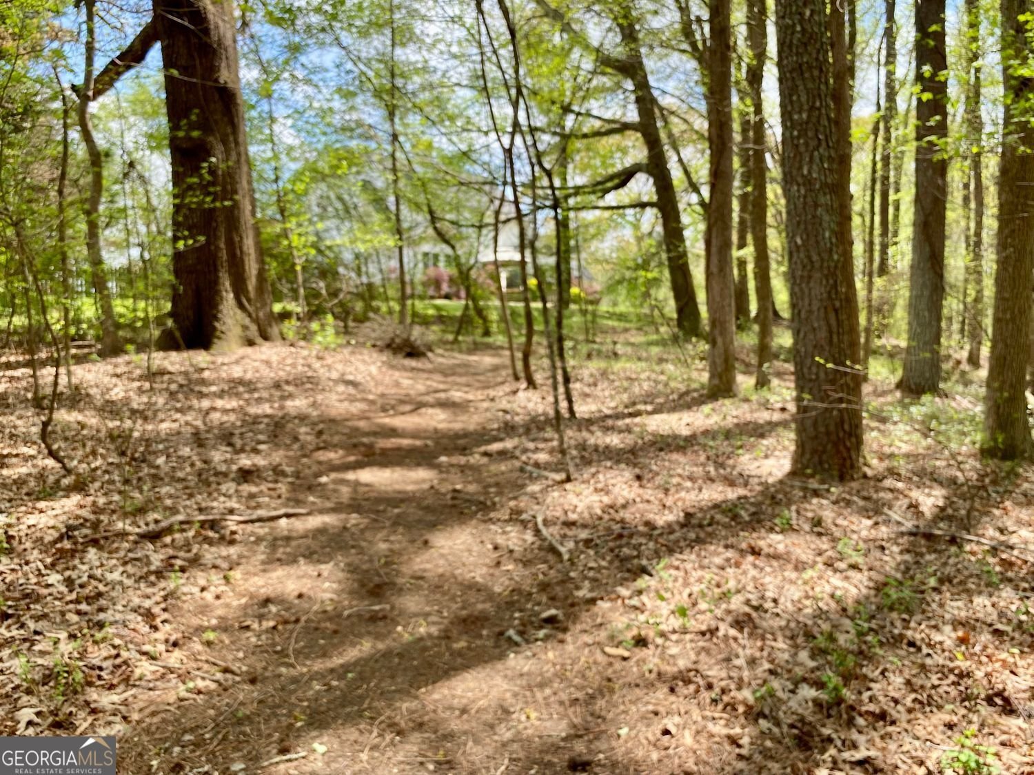 2210 Holly Springs Road Rockmart - 52