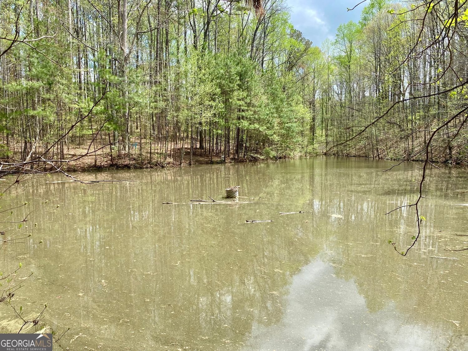2210 Holly Springs Road Rockmart - 53
