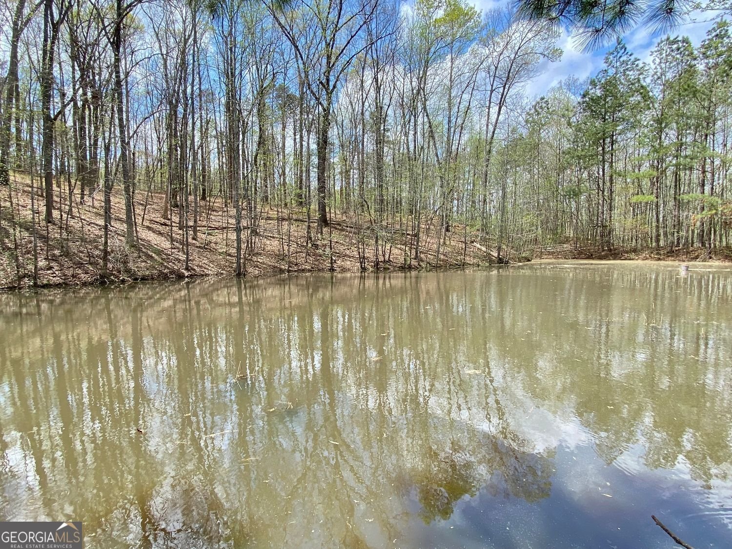 2210 Holly Springs Road Rockmart - 55