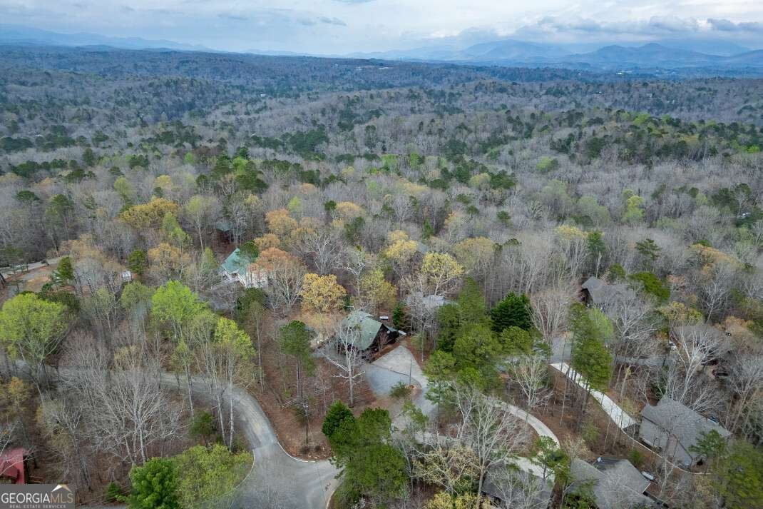 23 Morley Drive Ellijay - 38