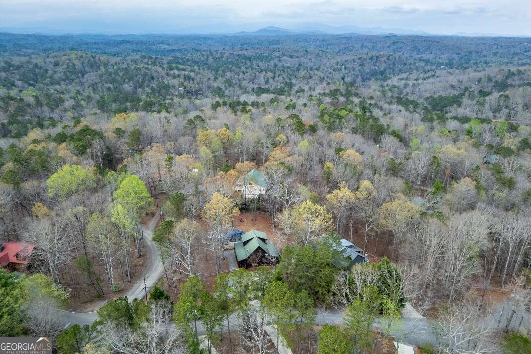 23 Morley Drive Ellijay - 39