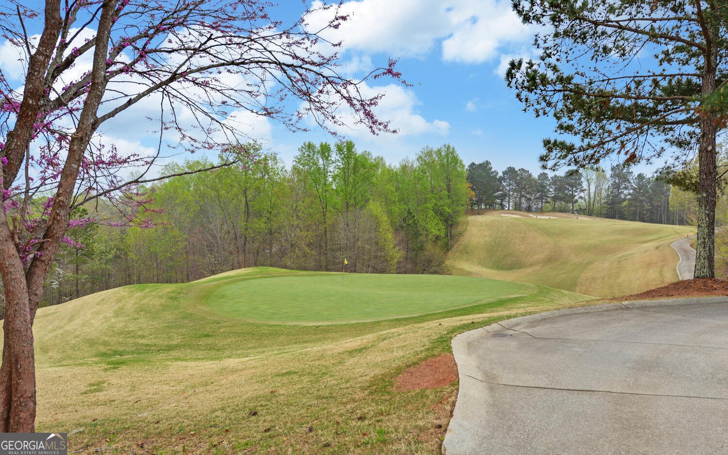 15 Cottage Lane Toccoa - 33