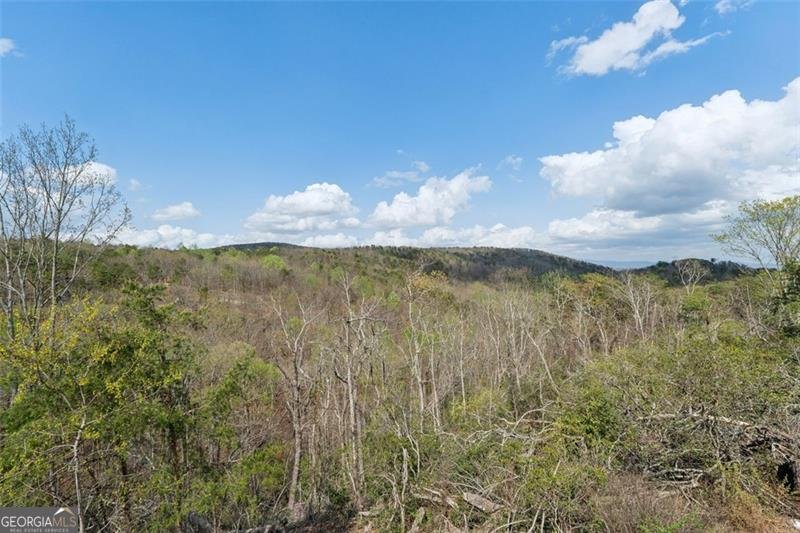 587 OAK Trace Jasper - 37