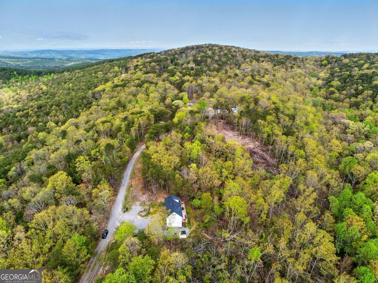 587 OAK Trace Jasper - 49