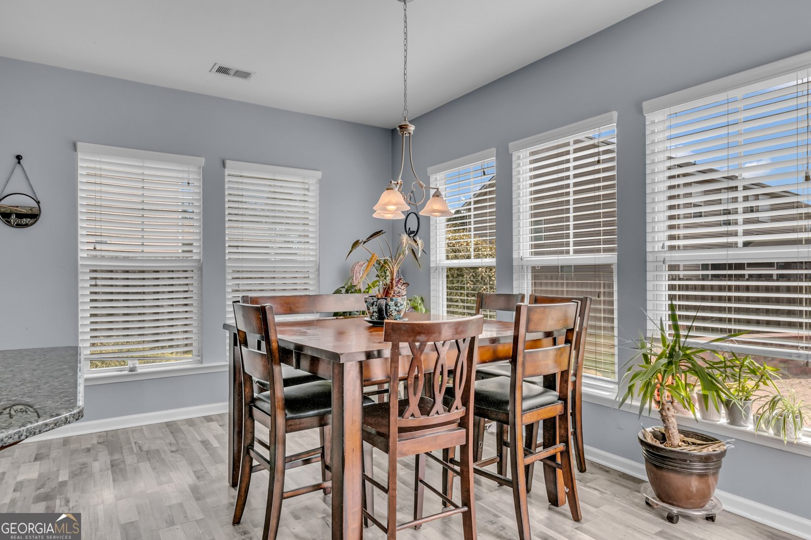 19 Salix Drive Savannah - 19