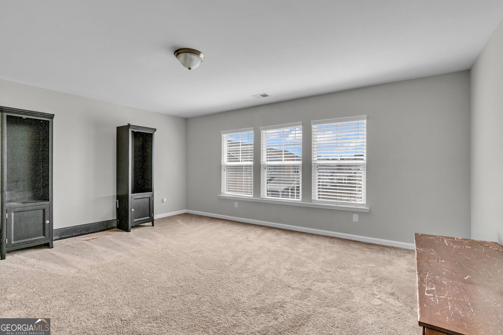 19 Salix Drive Savannah - 36