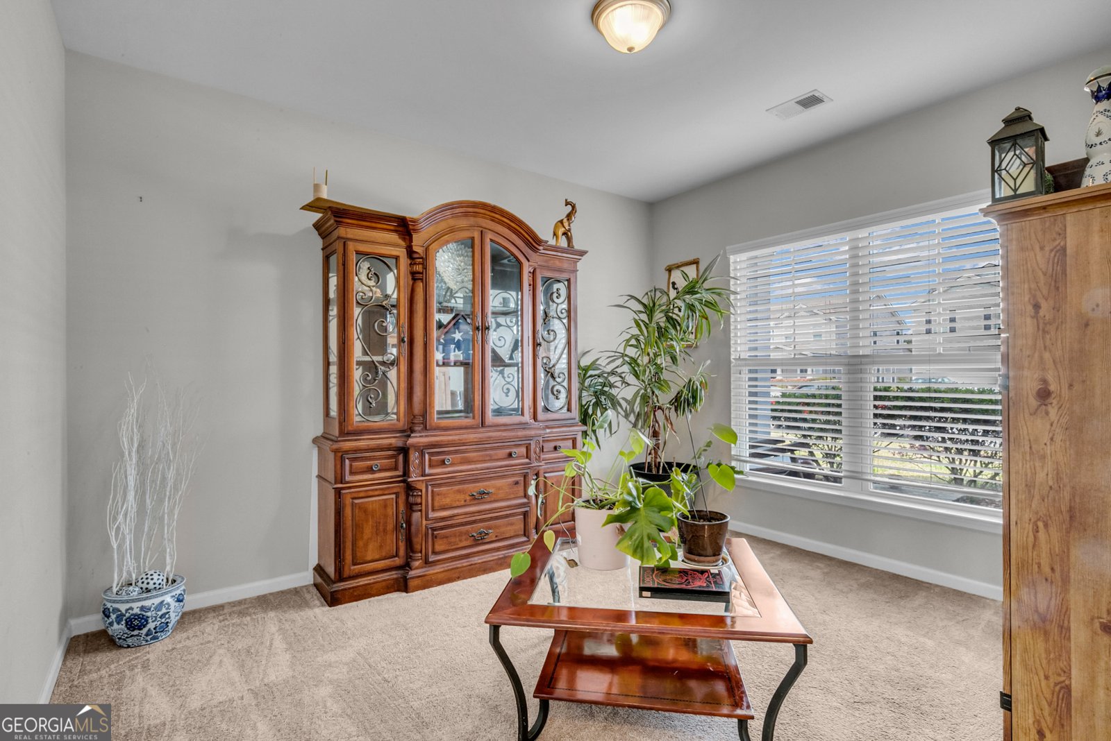 19 Salix Drive Savannah - 7