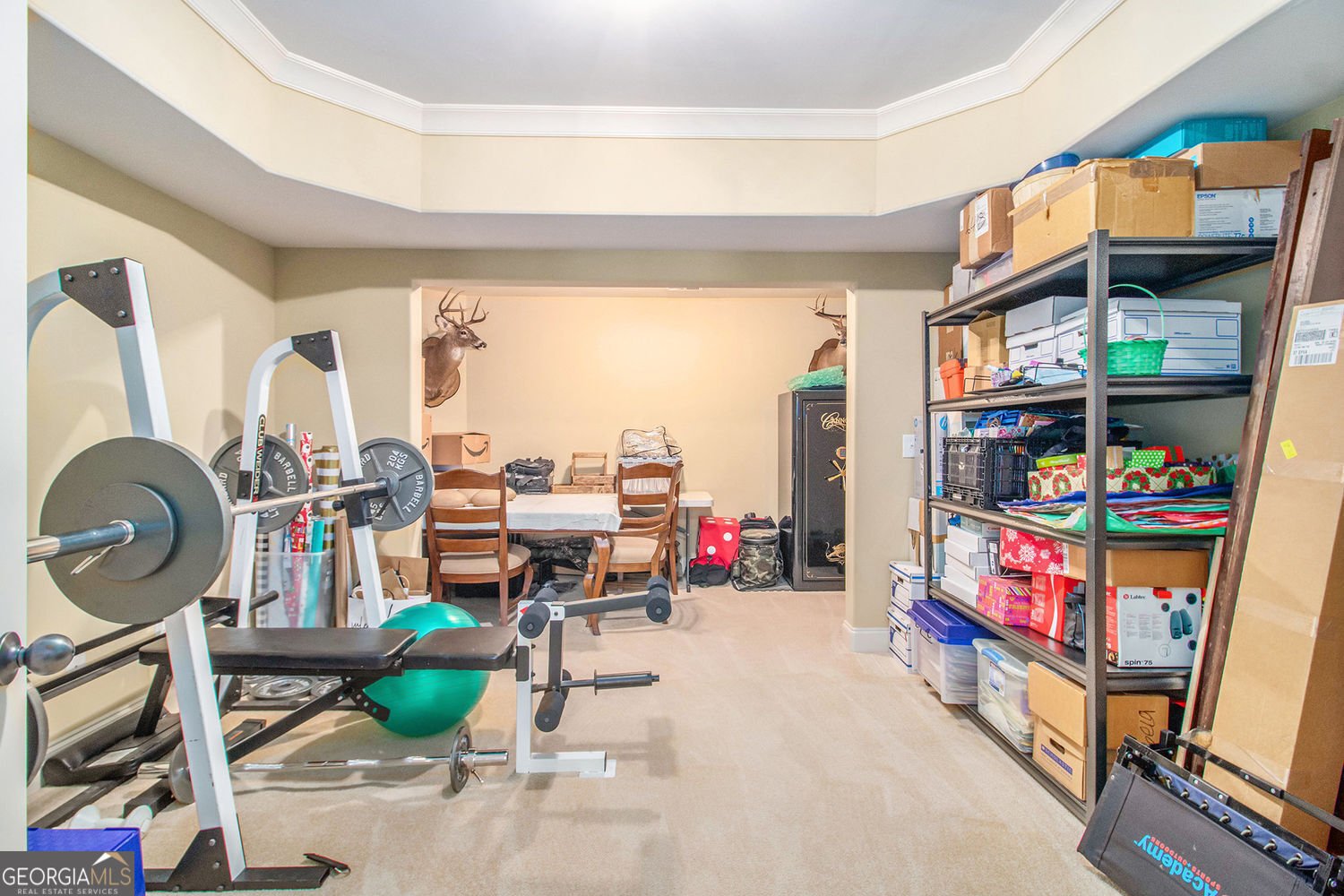 7497 Treehouse Court Douglasville - 39