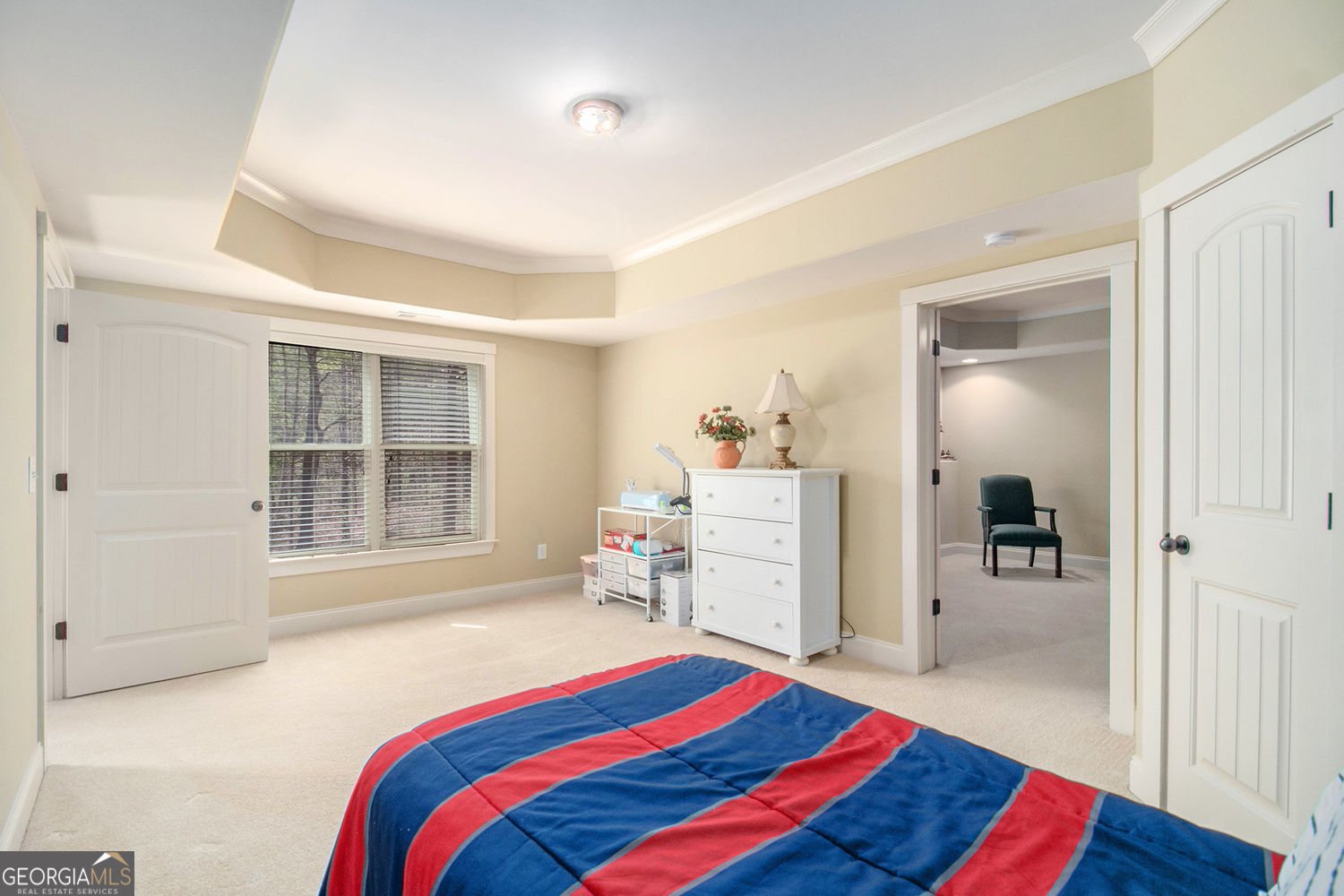 7497 Treehouse Court Douglasville - 44