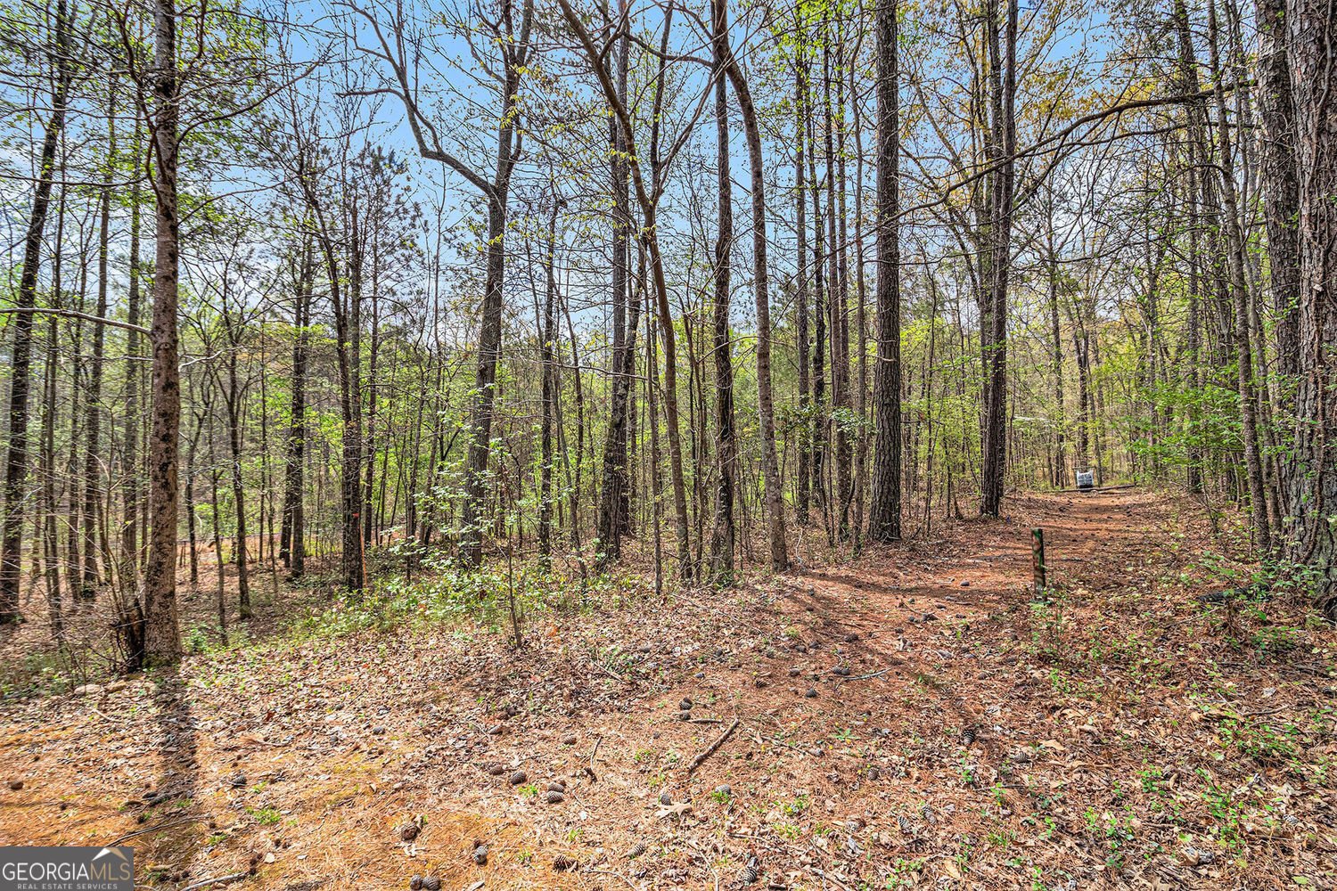 7497 Treehouse Court Douglasville - 55