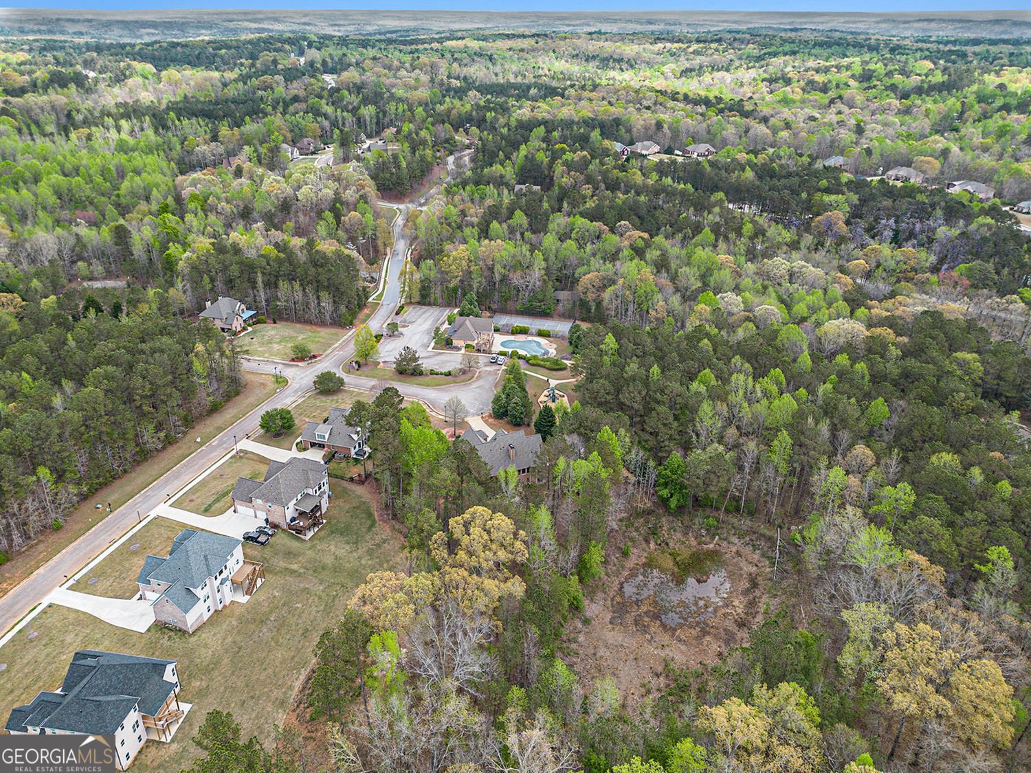 7497 Treehouse Court Douglasville - 58