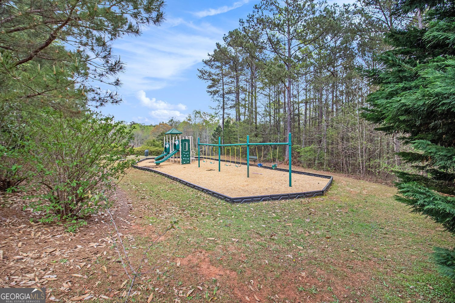 7497 Treehouse Court Douglasville - 67