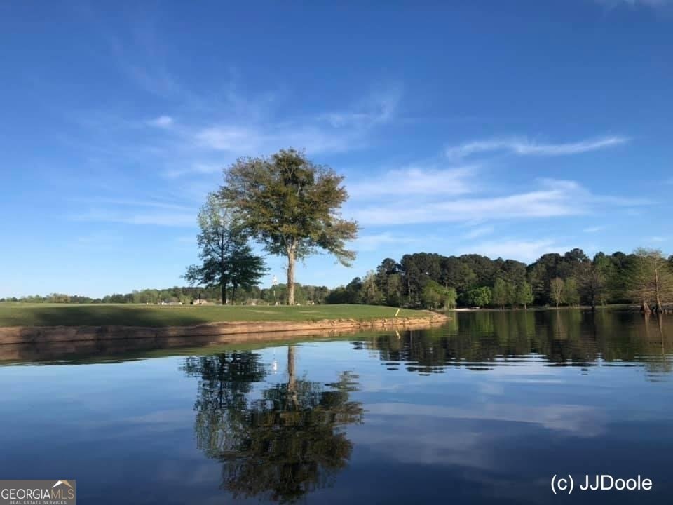 91 Eastlake Landing Newnan - 93