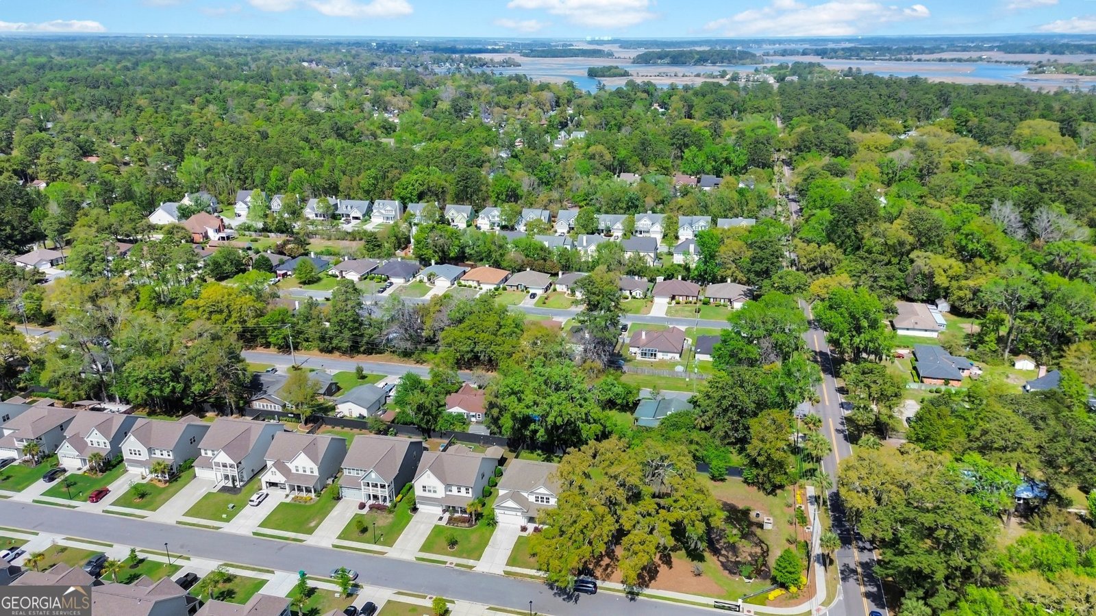 106 Canter Court Savannah - 28