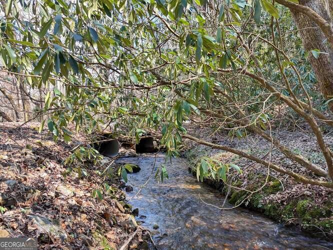 1275 Hells Hollow Road Blue Ridge - 25