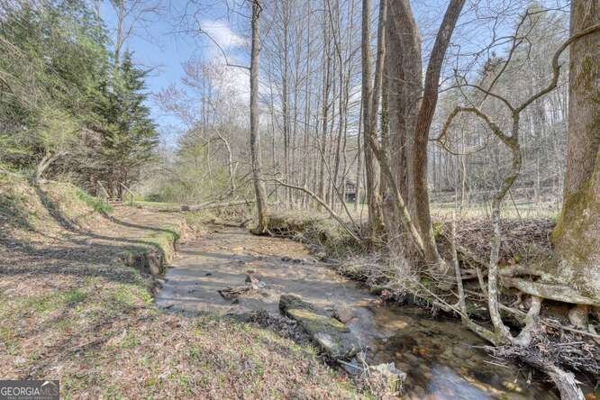 1275 Hells Hollow Road Blue Ridge - 27