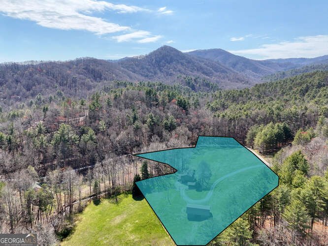 1275 Hells Hollow Road Blue Ridge - 31