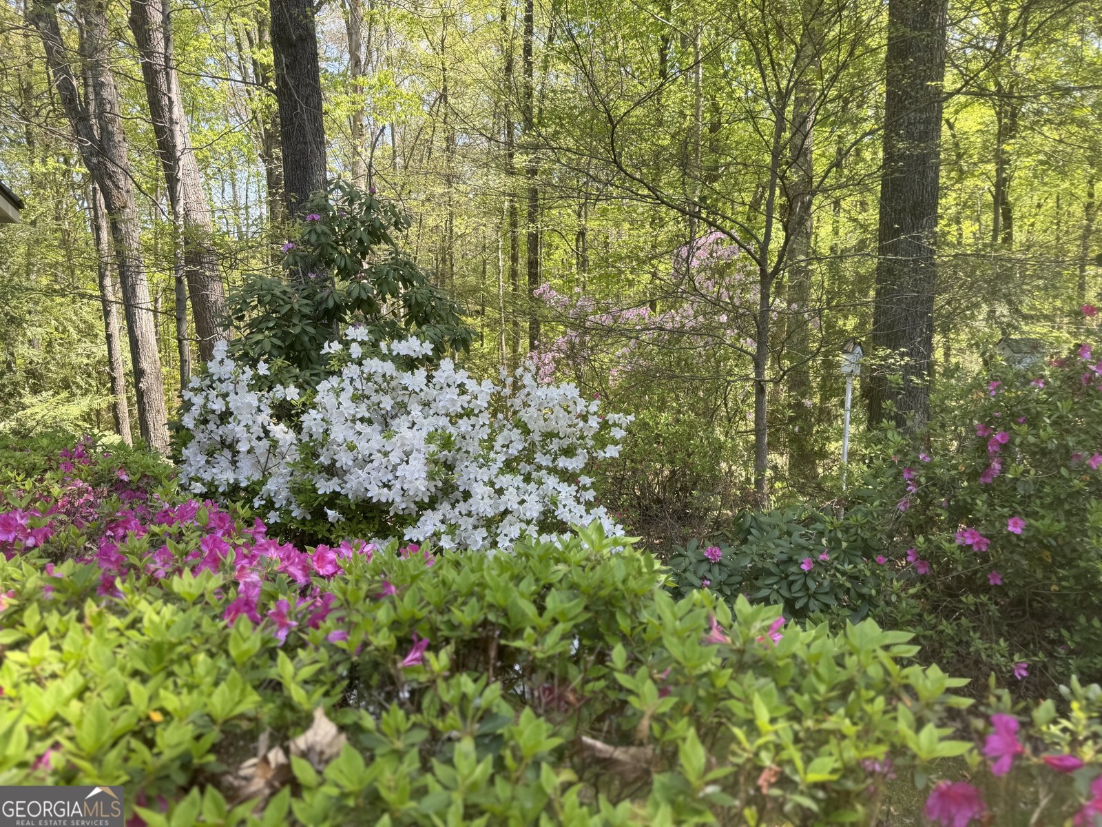 272 Sleepy Hollow Road Lafayette - 55