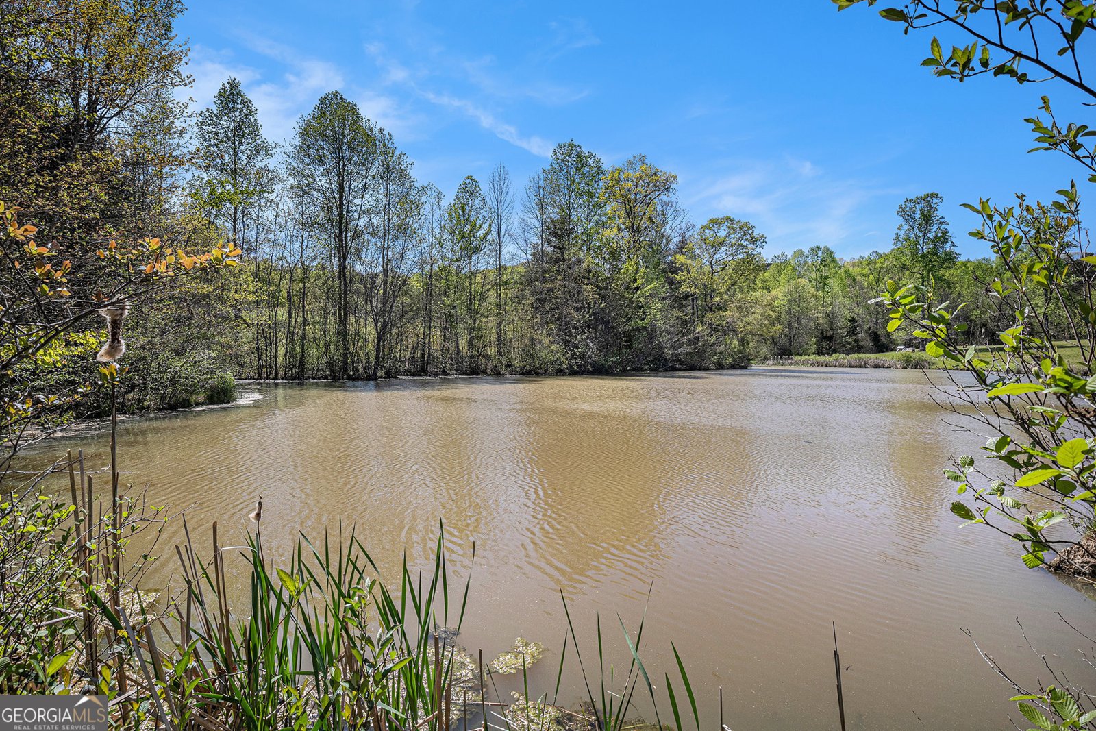 516 Martin Byers Road Dahlonega - 46