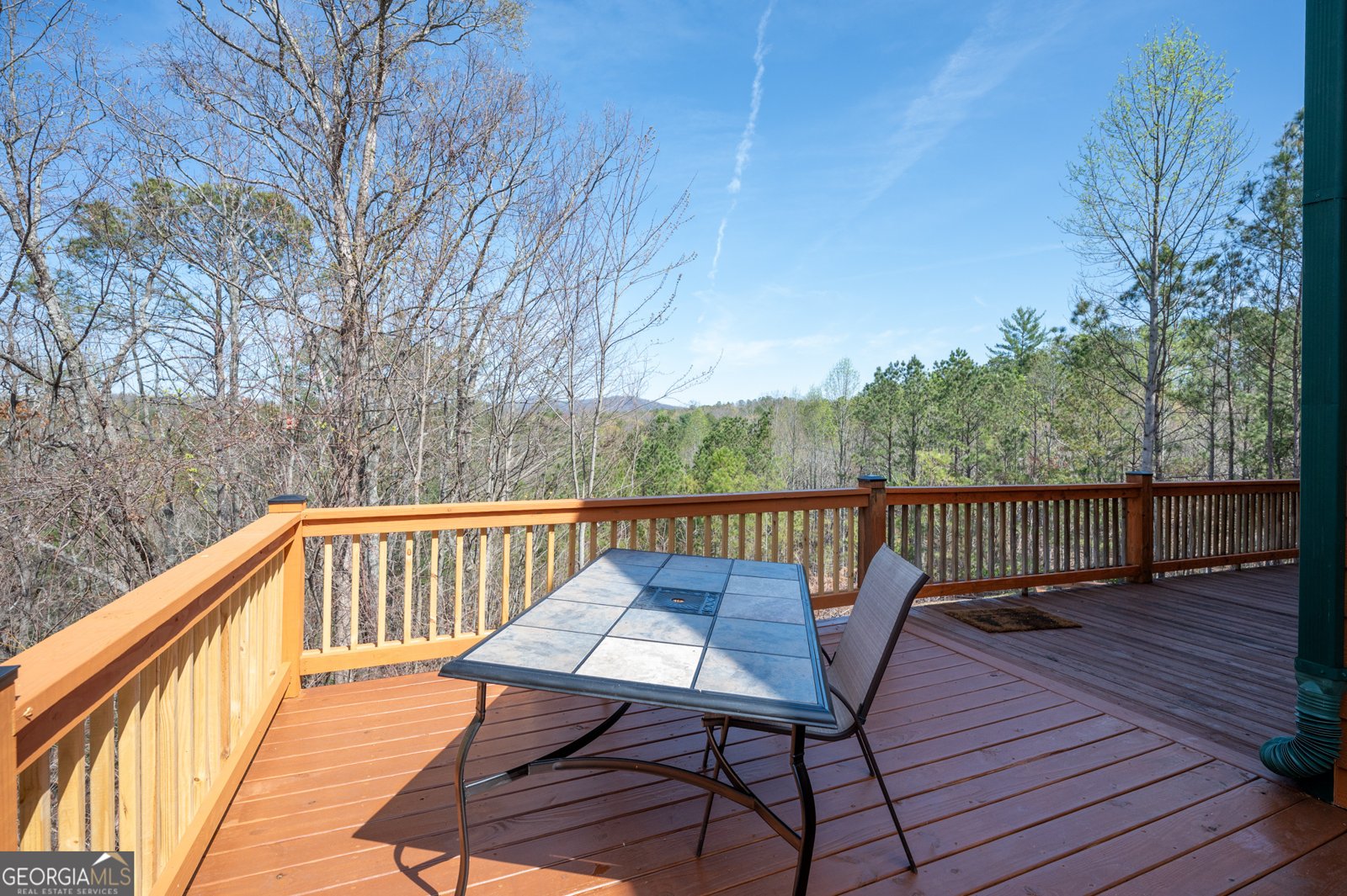 14 Honeysuckle Way Ellijay - 31