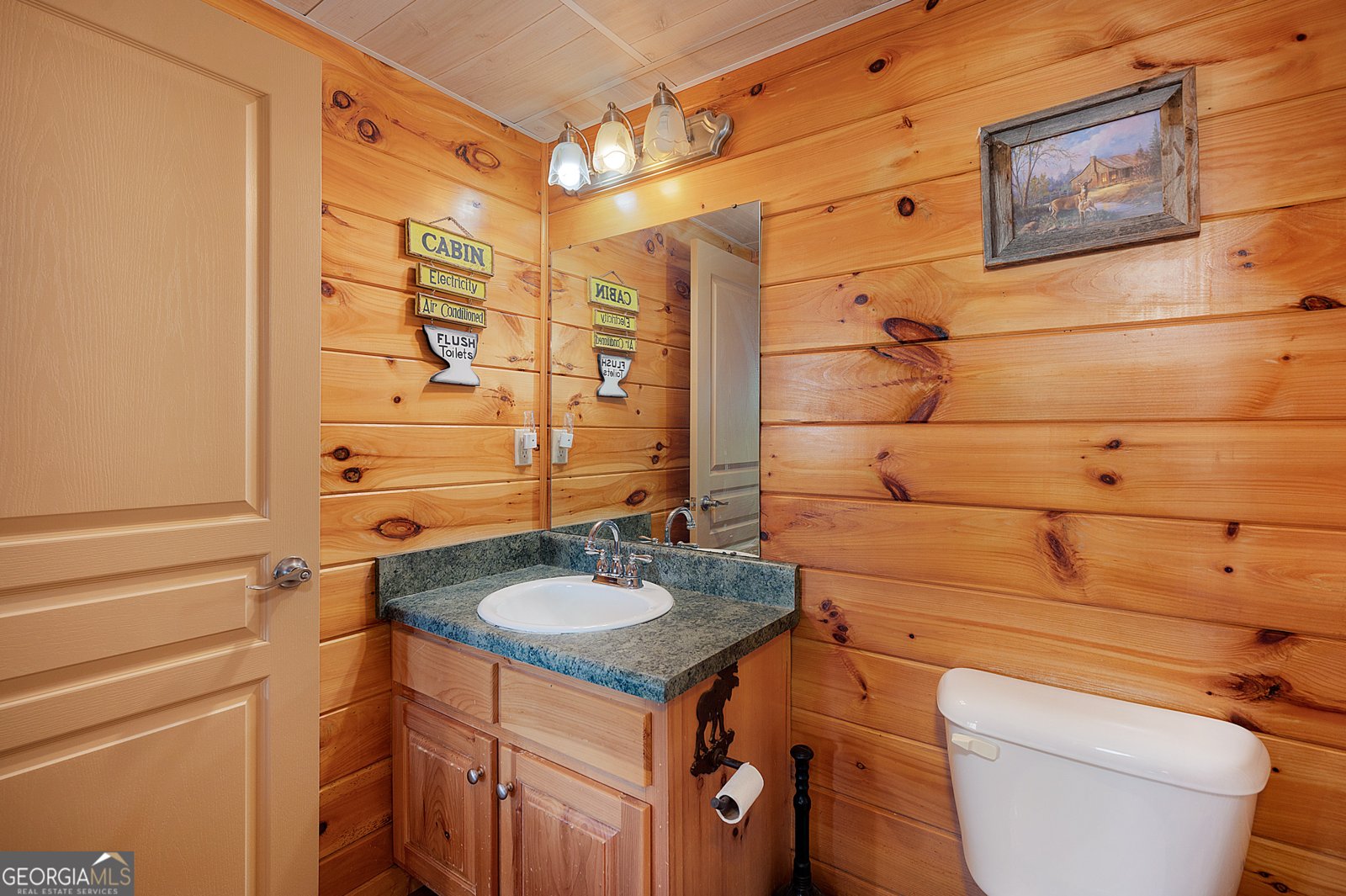 14 Honeysuckle Way Ellijay - 64