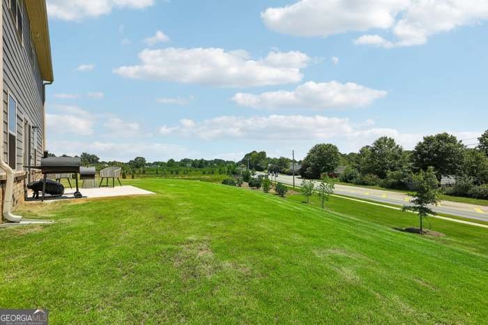 864 Maduro Way McDonough - 3