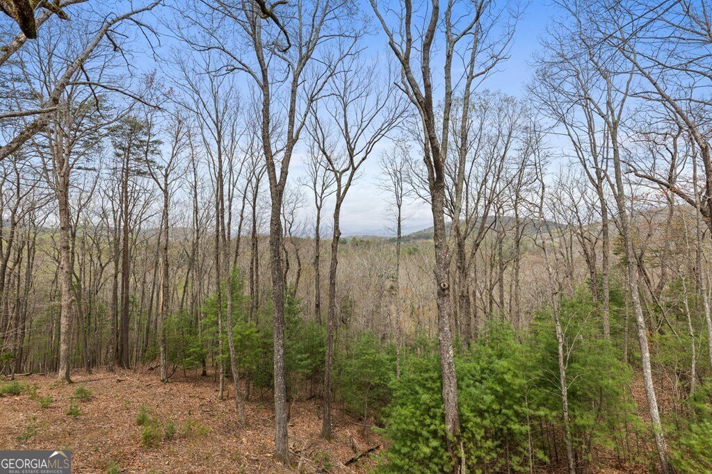 133 Pine Ridge Road Ellijay - 25