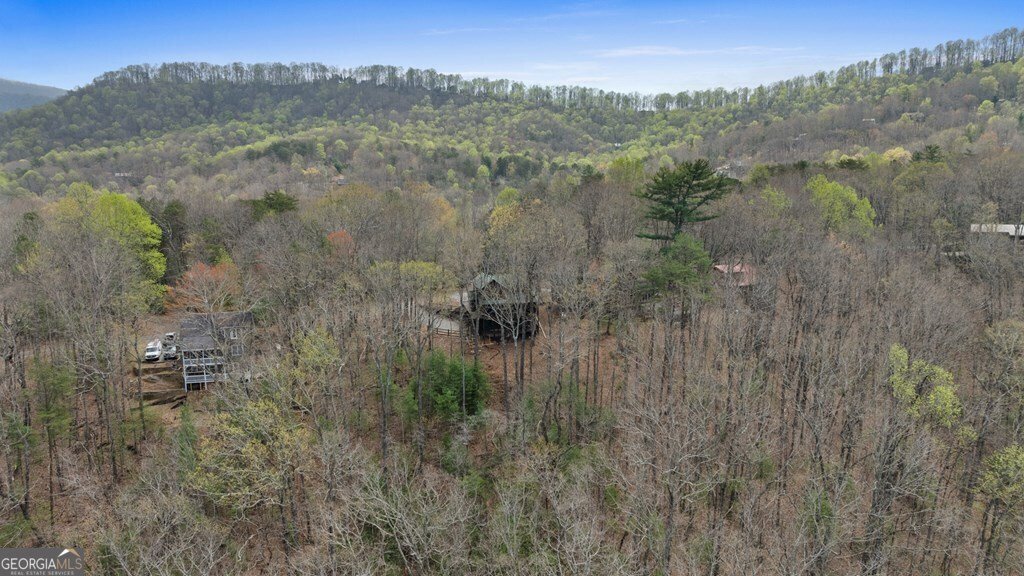 133 Pine Ridge Road Ellijay - 3