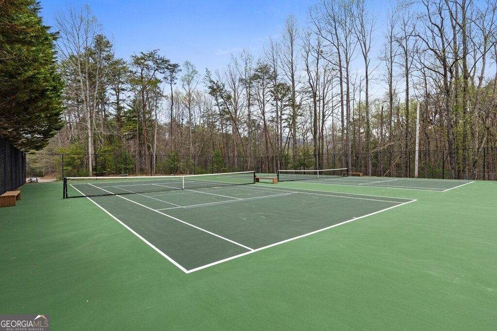 133 Pine Ridge Road Ellijay - 46